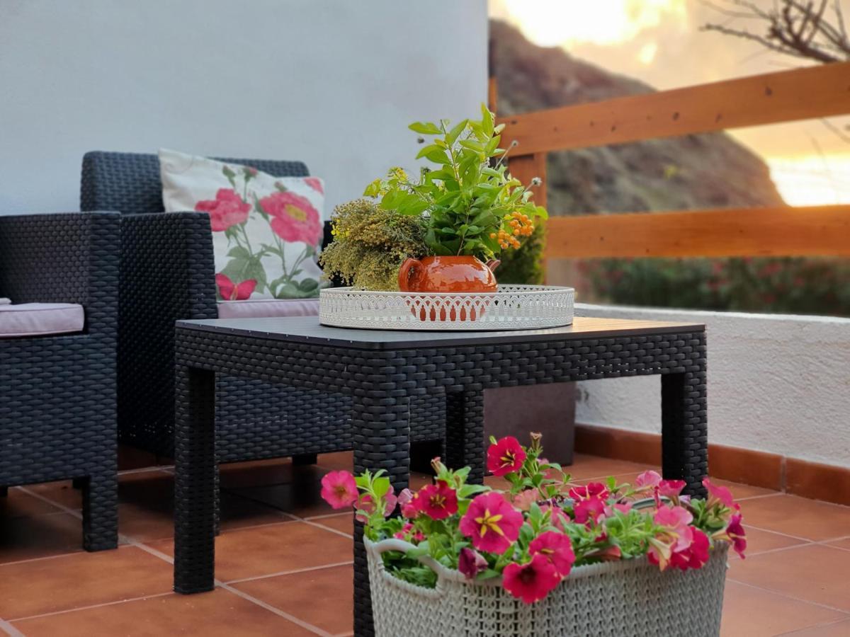 Vina Camello Villa Buenavista Del Norte Bagian luar foto