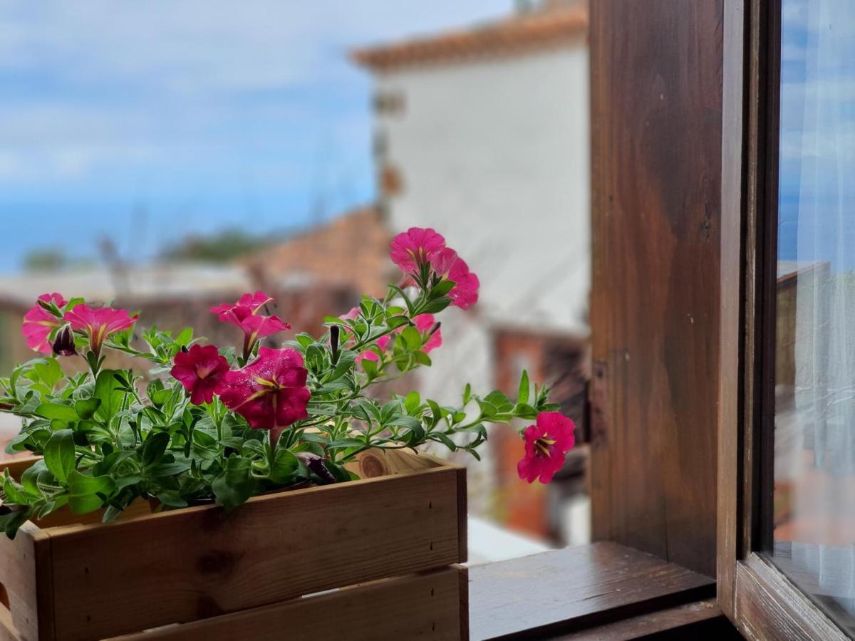 Vina Camello Villa Buenavista Del Norte Bagian luar foto